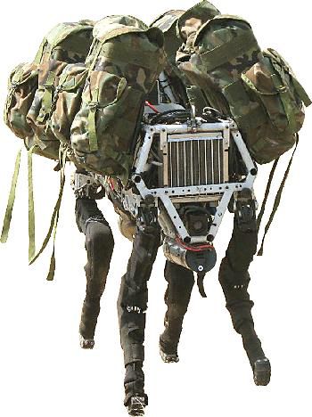 BigDog-200308.jpg