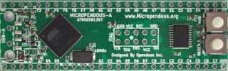 Micropendous