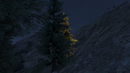 Arbre_Mont_Gordo.jpg (41.17 Kio) Vu 148145 fois Arbre au pied du Mont Gordo.