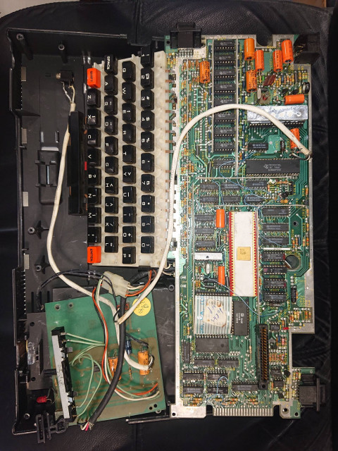 DSC_0433_1.JPG