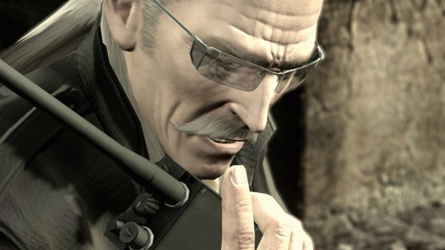mgs002.jpg
